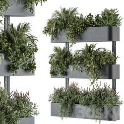 Indoor Plant Set 306 Box Stand with Hanging Plants 3D Models 3DSKY 