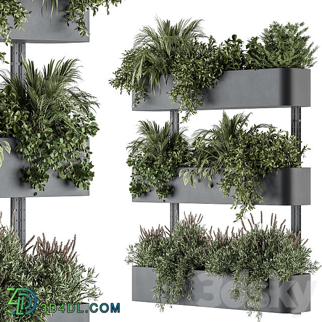 Indoor Plant Set 306 Box Stand with Hanging Plants 3D Models 3DSKY