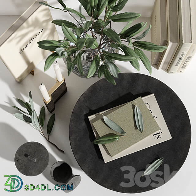 Decorative Set 50 3D Models 3DSKY