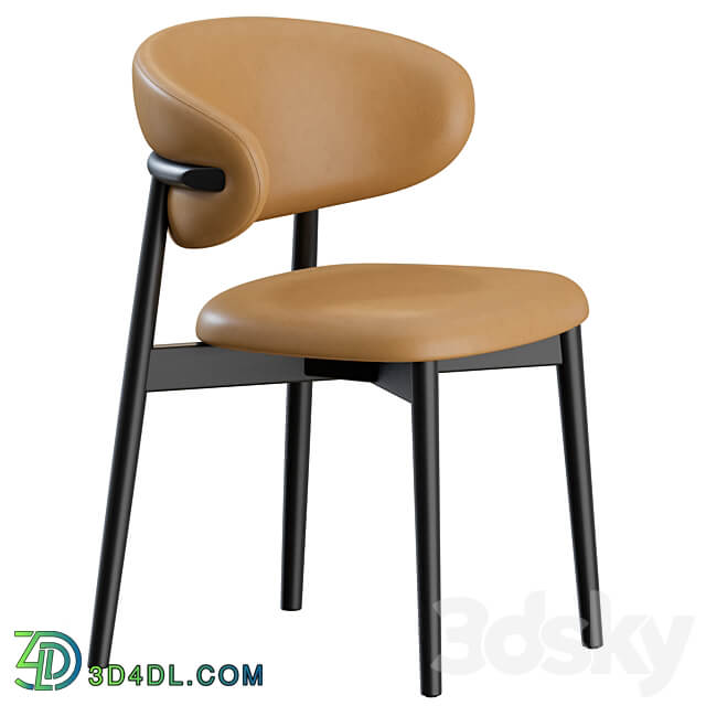 Oleandro Chair Wood by Calligaris 3D Models 3DSKY