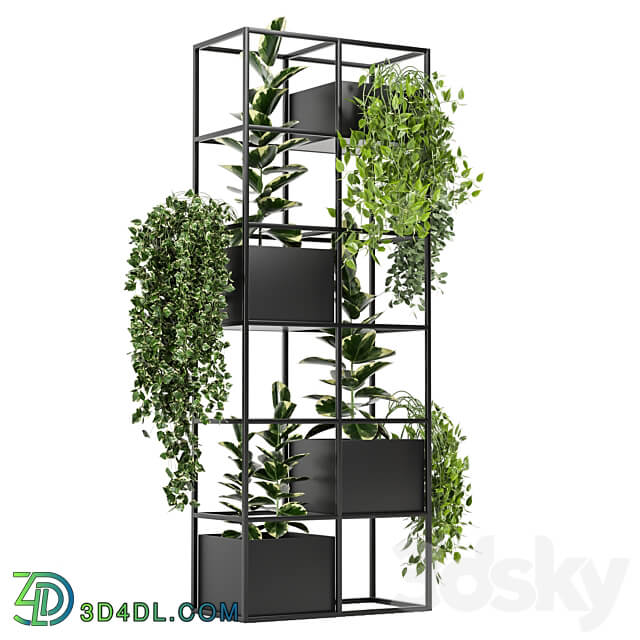 indoor plants in rusty concrete pot on metal shelf Set 110 3D Models 3DSKY