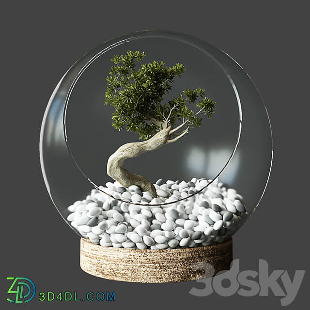 Little Tree In Glass Globe 3D Models 3DSKY