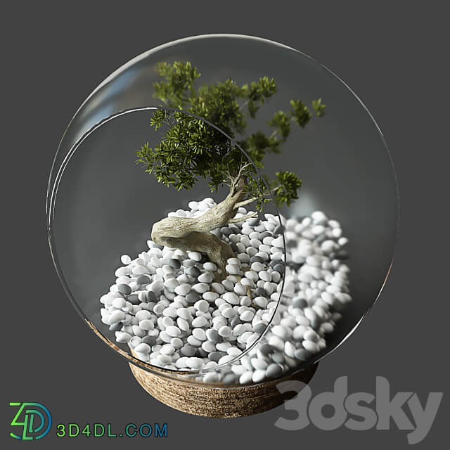 Little Tree In Glass Globe 3D Models 3DSKY