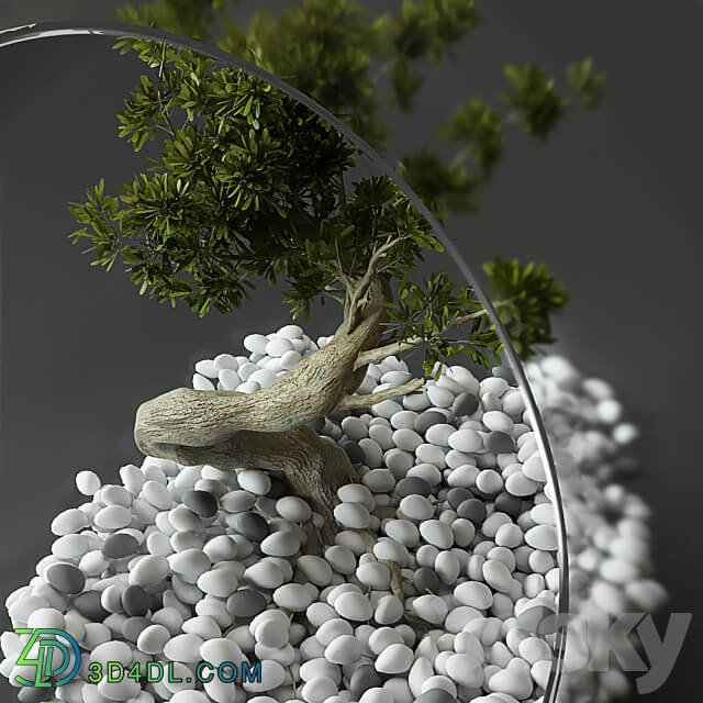 Little Tree In Glass Globe 3D Models 3DSKY