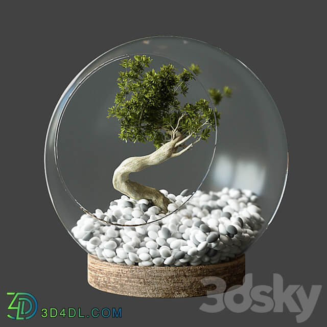 Little Tree In Glass Globe 3D Models 3DSKY