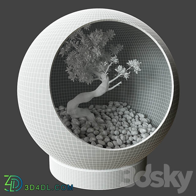 Little Tree In Glass Globe 3D Models 3DSKY