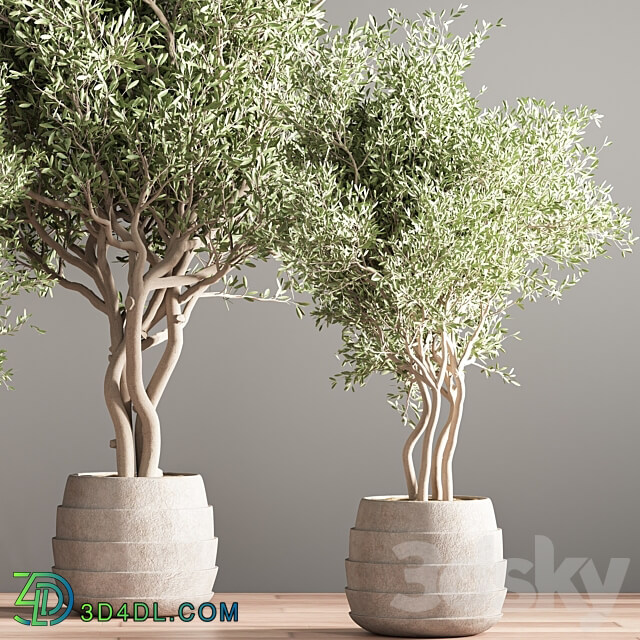 indoor plant stand 39 3D Models 3DSKY