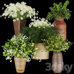 Collection plant vol 262 3D Models 3DSKY 