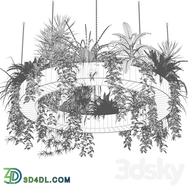 Indoor plants in a hanging ring planter 3D Models 3DSKY