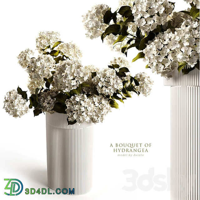 A bouquet of hydrangea 2 3D Models 3DSKY