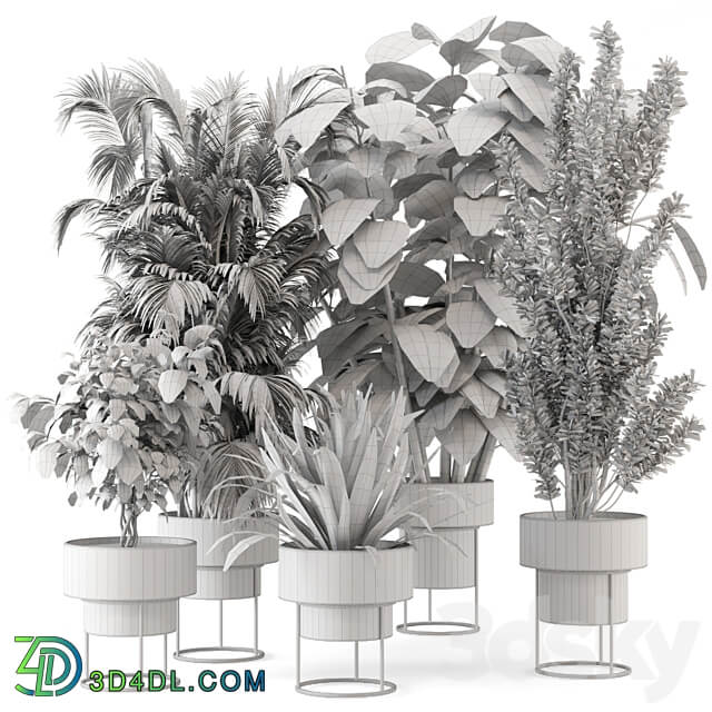 Indoor Plants in rusty Concrete Pot on Metal Shelf Set 328 3D Models 3DSKY