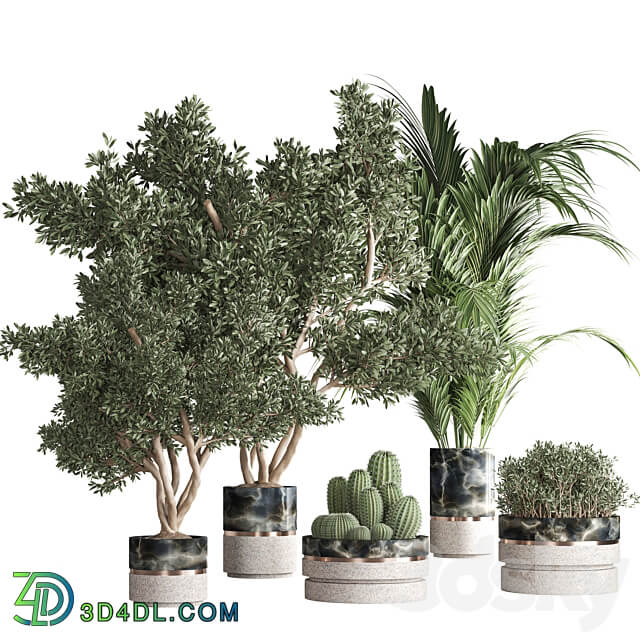 indoor plant set25 3D Models 3DSKY