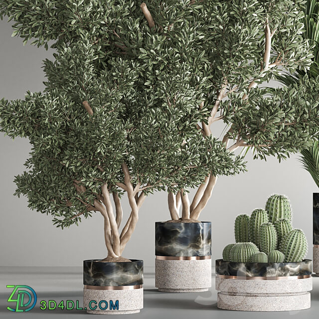 indoor plant set25 3D Models 3DSKY