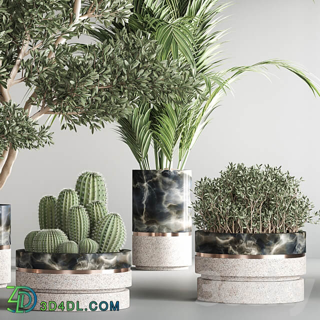 indoor plant set25 3D Models 3DSKY