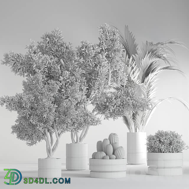 indoor plant set25 3D Models 3DSKY