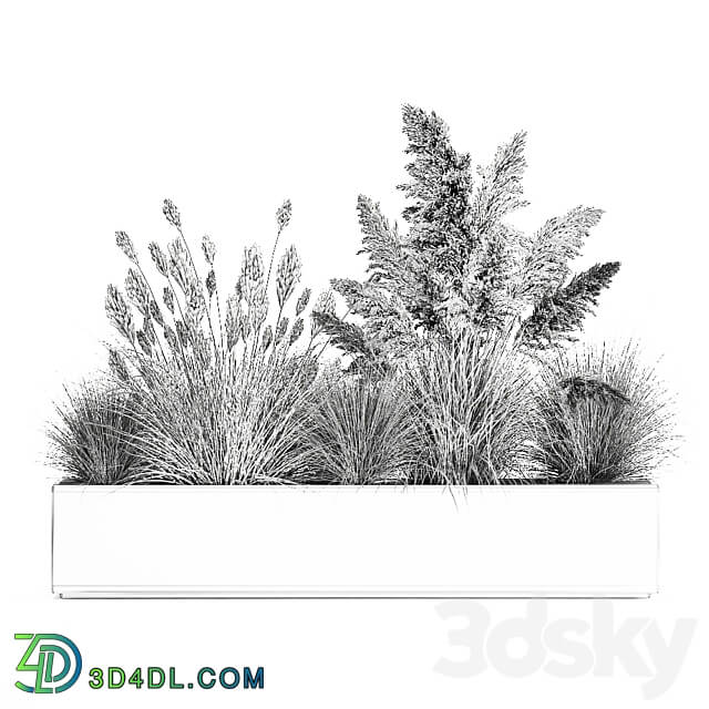 Plant collection 1077. pampas grass reeds flower bed bushes landscaping white flower bed natural decor 3D Models