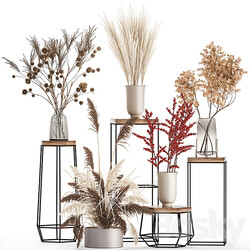 Bouquets set 212. Dried flower vase decor shelf branches thorns pampas grass decor natural decor eco design 3D Models 