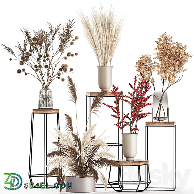 Bouquets set 212. Dried flower vase decor shelf branches thorns pampas grass decor natural decor eco design 3D Models