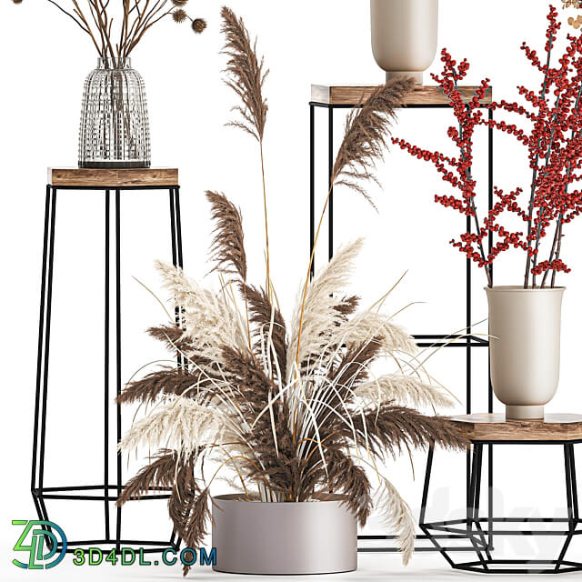 Bouquets set 212. Dried flower vase decor shelf branches thorns pampas grass decor natural decor eco design 3D Models