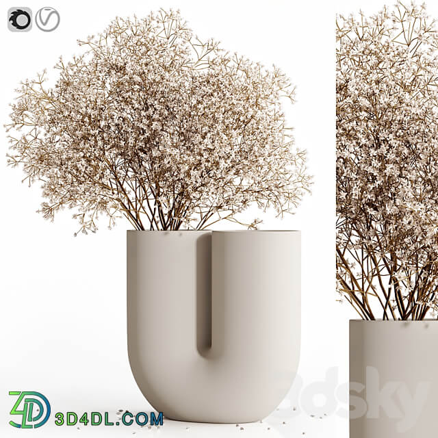 Dry flowers 9 3D Models 3DSKY