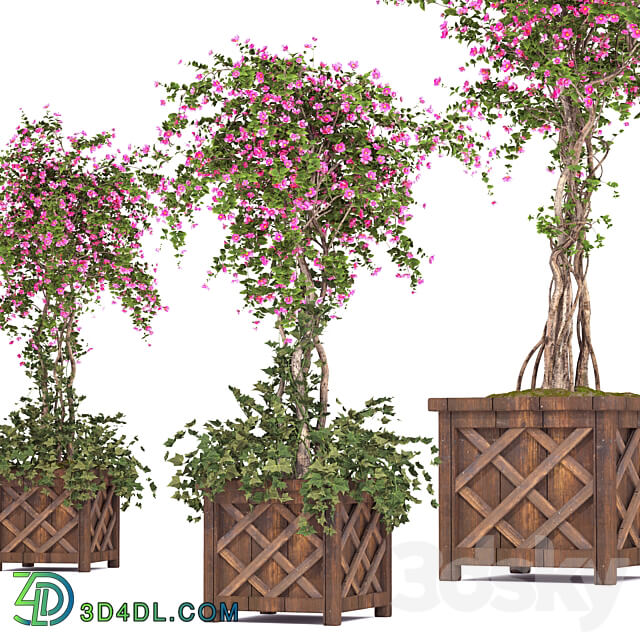 spring outdoor plants 03 3D Models 3DSKY