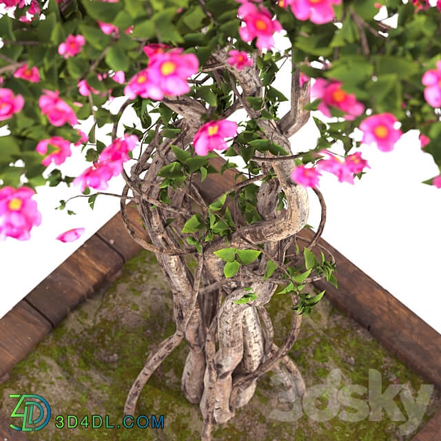 spring outdoor plants 03 3D Models 3DSKY