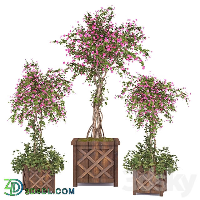 spring outdoor plants 03 3D Models 3DSKY