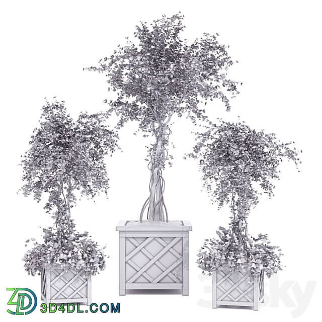 spring outdoor plants 03 3D Models 3DSKY