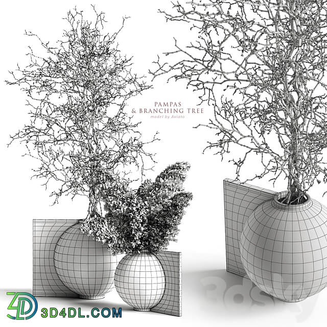 Pampas branching tree 3D Models 3DSKY