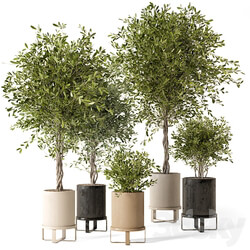 Indoor Plants in Ferm Living Bau Pot Large Set 354 3D Models 3DSKY 