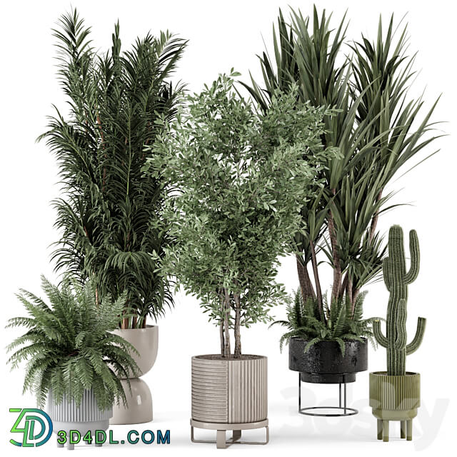 Indoor Plants in Ferm Living Bau Pot Large Set 362 3D Models 3DSKY
