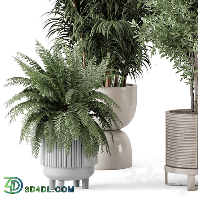 Indoor Plants in Ferm Living Bau Pot Large Set 362 3D Models 3DSKY