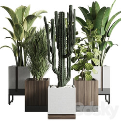 Collection Indoor outdoor plant 163 wooden and concrete dirt vase box pot palm cactus 3D Models 3DSKY 