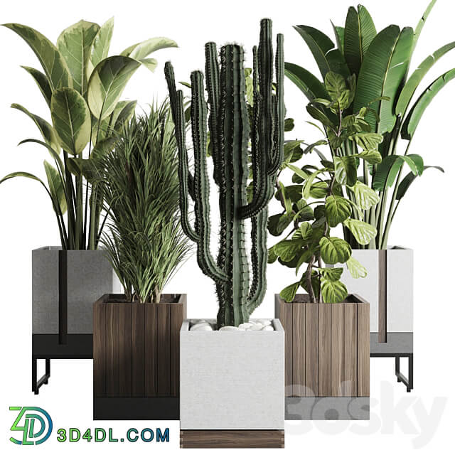 Collection Indoor outdoor plant 163 wooden and concrete dirt vase box pot palm cactus 3D Models 3DSKY