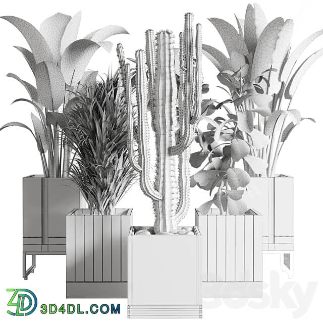 Collection Indoor outdoor plant 163 wooden and concrete dirt vase box pot palm cactus 3D Models 3DSKY