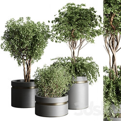 Tree pots and shrubs bush collection 74 metal vase for outdoor indoor 3D Models 