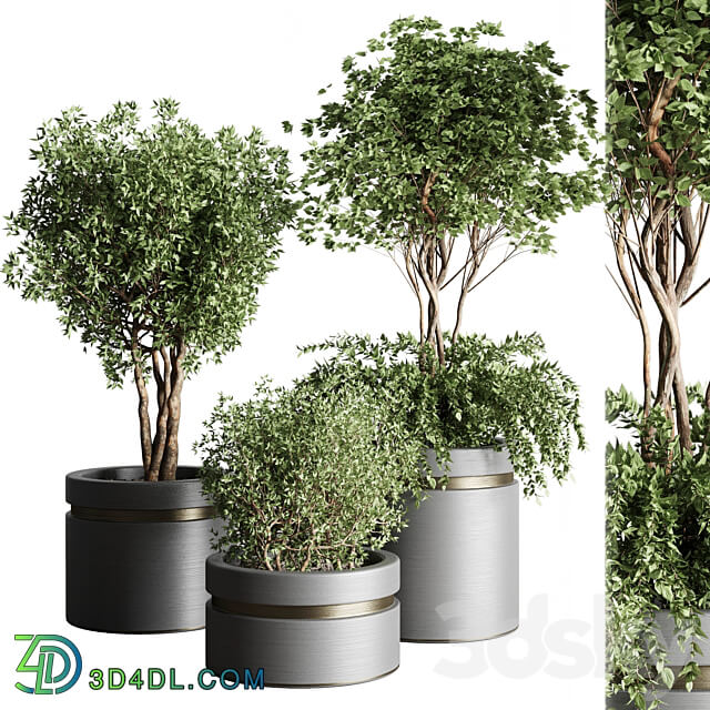 Tree pots and shrubs bush collection 74 metal vase for outdoor indoor 3D Models