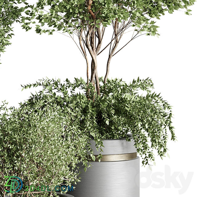Tree pots and shrubs bush collection 74 metal vase for outdoor indoor 3D Models
