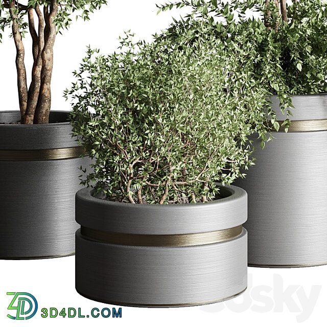 Tree pots and shrubs bush collection 74 metal vase for outdoor indoor 3D Models