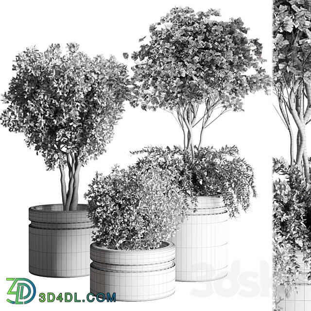 Tree pots and shrubs bush collection 74 metal vase for outdoor indoor 3D Models
