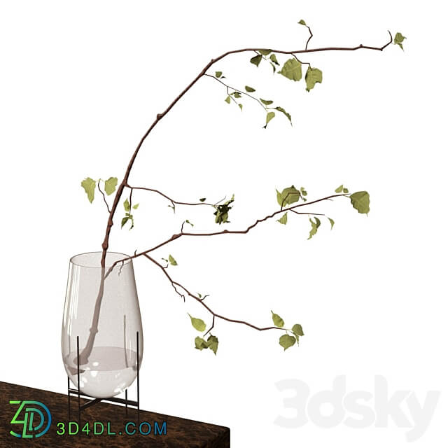Branch in a vase 3D Models