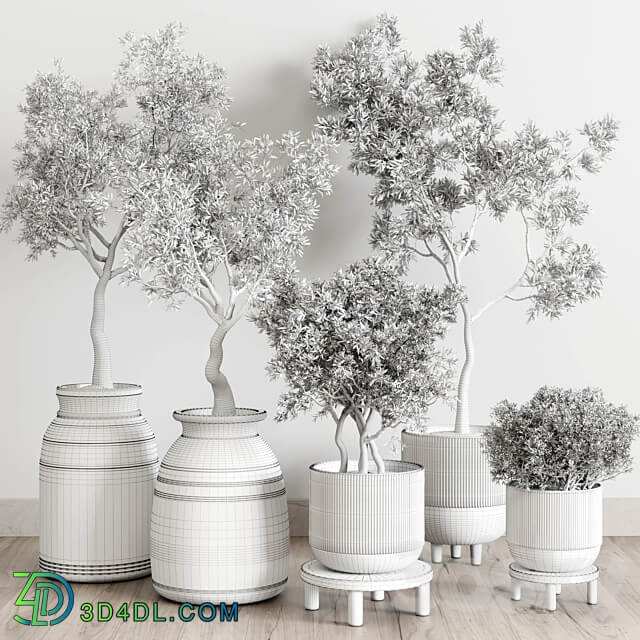 wood collection indoor outdoor plant 141 vase concrete old pot tree vray 3D Models