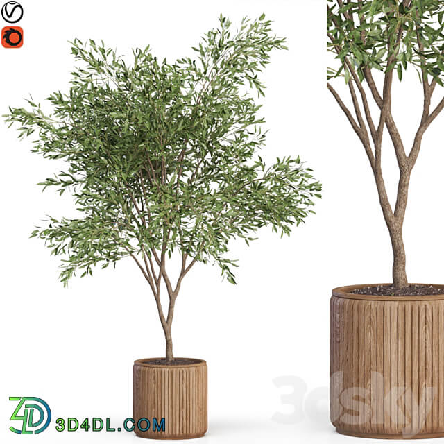 Plants collection 625 3D Models