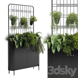 stand wall decor with shelves for the library and closet or showcase plants collection 175 3D Models 