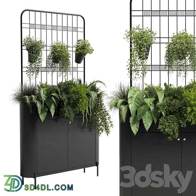 stand wall decor with shelves for the library and closet or showcase plants collection 175 3D Models