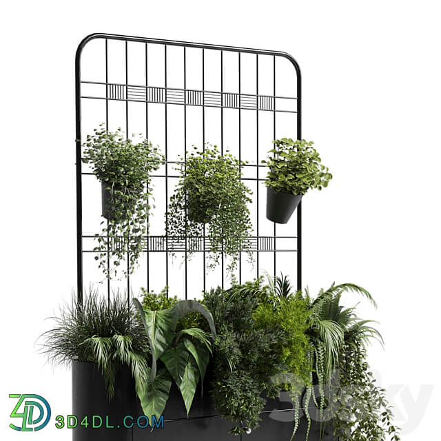 stand wall decor with shelves for the library and closet or showcase plants collection 175 3D Models