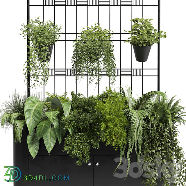 stand wall decor with shelves for the library and closet or showcase plants collection 175 3D Models