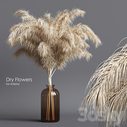 Dry flowers 03 3D Models 