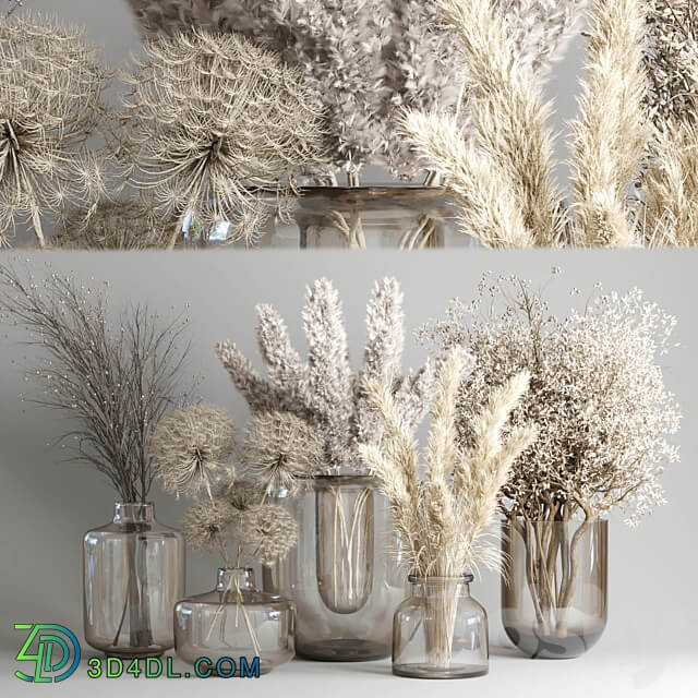 Dry Bouquet Collection 05 Dried autumn plants and flowers 3D Models