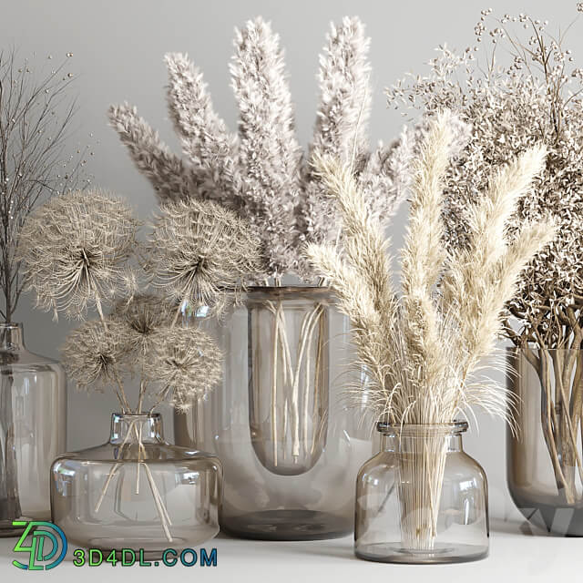 Dry Bouquet Collection 05 Dried autumn plants and flowers 3D Models